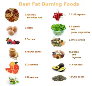 burn fat