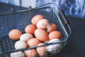 Eggs for EVERY Breakfast? Is it Healthy?