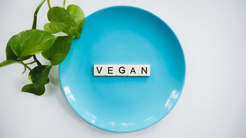 Vegans. The Most Popular Questions About Veganity
