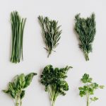 10 Reasons to Include More Fresh Greens in Your Diet