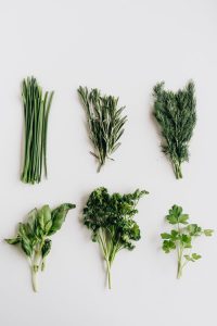 10 Reasons to Include More Fresh Greens in Your Diet