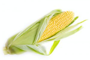 6 Interesting Facts About Corn