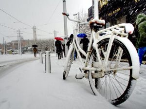Winter cycling .Features of preparation and Сycling in winter